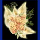 komunions symbole046