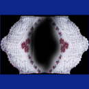 kommunions symbole050