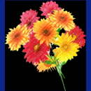 kommunions symbole054