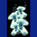 kommunions symbole058